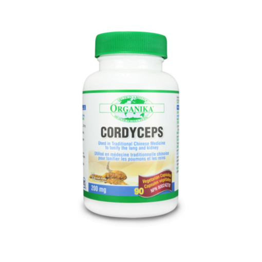 Cordyceps - Giúp tăng cường chức năng phổi, thận