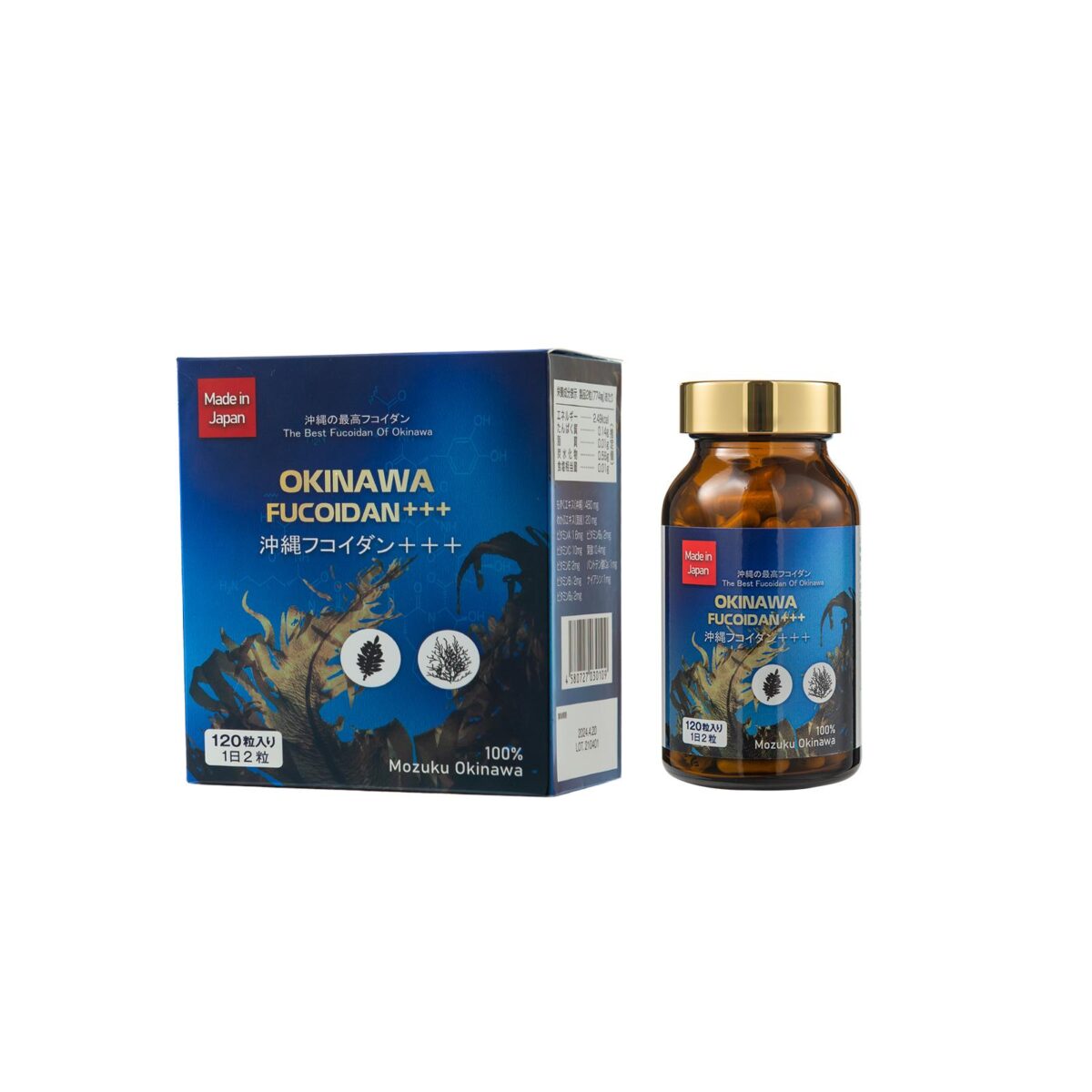 okinawa fucoidan giup tang cuong suc de khang 1
